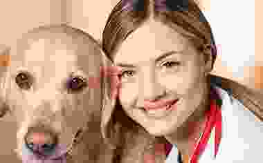 pet-img3